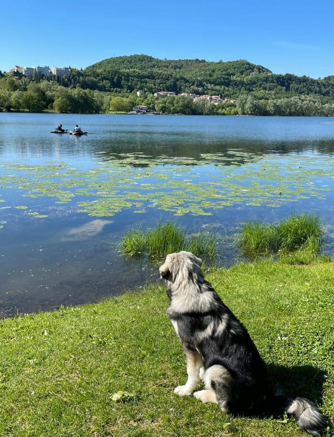 Altravista Tarzo Villa Revine Lago Eksteriør billede